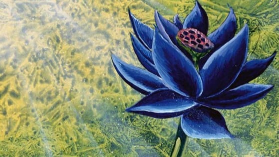 Carta de Magic: The Gathering Black Lotus é vendida por R$ 2,8 milhões