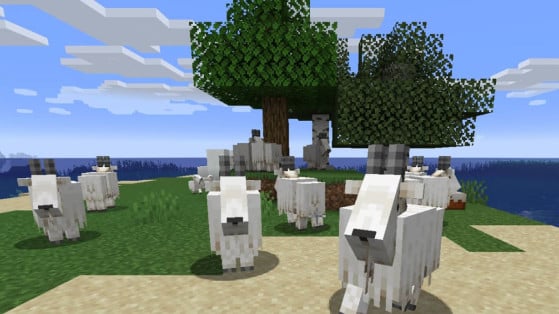 São oito tipos diferentes de chifres de cabra em Minecraft - Minecraft