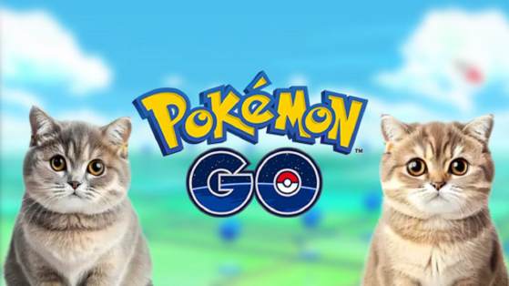 Pokémon GO: Gato viraliza nas redes sociais depois de capturar um Weedle
