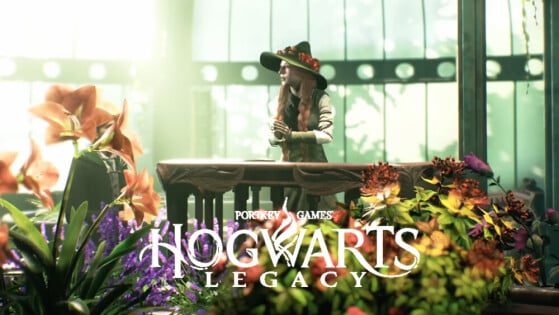 Hogwarts Legacy: Lista de plantas e sementes para comprar no Nabo Mágico e na Ruta e Cicuta - Hogwarts Legacy