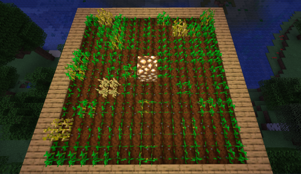 Minecraft 1.18.1 Como Conseguir Plantaforma Pequeña 