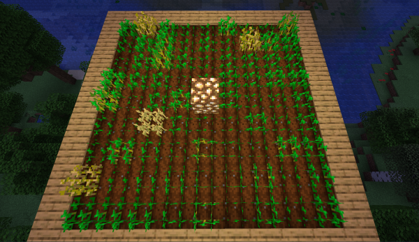 Mundo Minecraft: Como plantar?