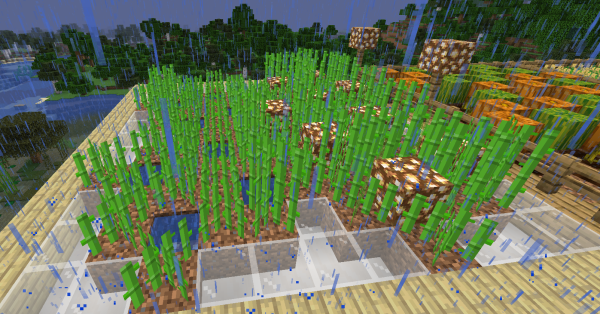 Como cultivar alimentos em Minecraft - Critical Hits