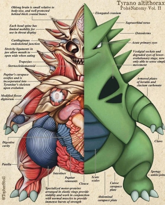 Anatomia de Tyranitar — Imagem: TheChristopherStoll/Reddit - Pokémon Scarlet e Violet