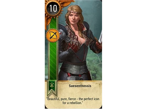Saesenthessis - The Witcher 3: Wild Hunt