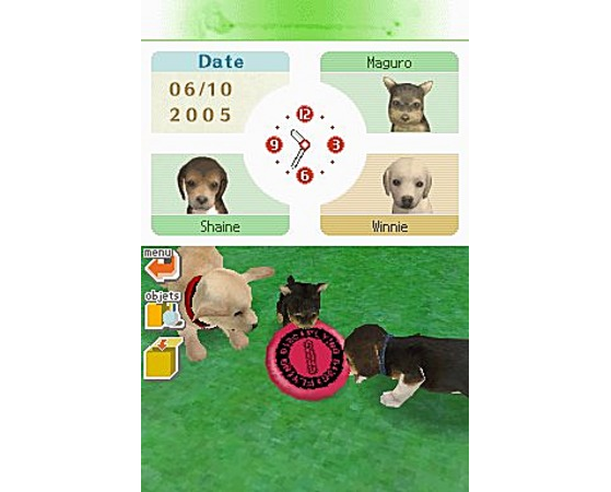 Captura de tela de Nintendogs — Imagem: JeuxVideo/Nintendo - Millenium