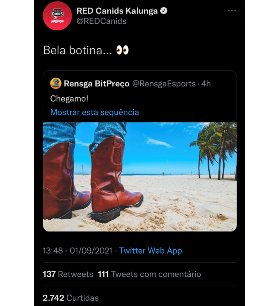 Postagem de RED Canids em referência ao caso de exposição — Foto: MGG Brasil - League of Legends