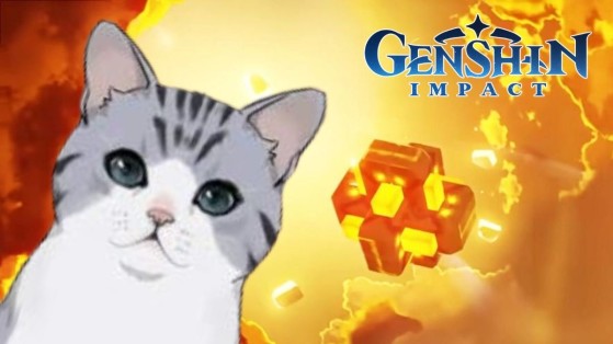 Genshin Impact: Os gatinhos do jogo têm um talento incrível e surpreendente