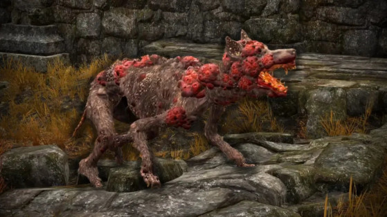 Elden Ring: Bug transforma cachorro no monstro mais letal do jogo