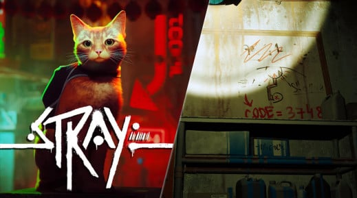 Stray: jogo do gato quebrou recorde de usuários simultâneos na