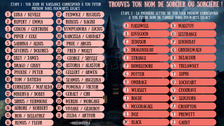 Hogwarts Legacy: 30 ideias de nomes de bruxos e bruxas para inspirar ...
