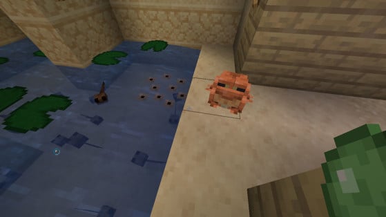 Minecraft: Dê Bolas de Slime para que os sapos se reproduzam - Minecraft