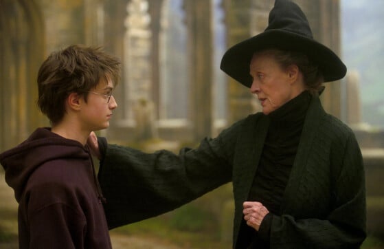 Hogwarts Legacy: Matilda Weasley tem papel semelhante ao de McGonagall - Hogwarts Legacy