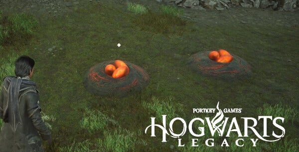 Hogwarts Legacy: Lançamento, preço, requisitos, plataformas, gameplay e  tudo que você precisa saber - Millenium