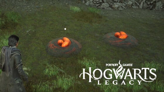 Ovos de Cinzal Hogwarts Legacy: Onde encontrar e como conseguir o item para fazer poções?