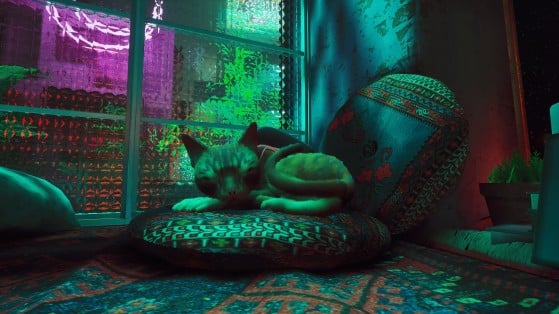 Stray: Conheça o gato que inspirou o protagonista do game - Millenium