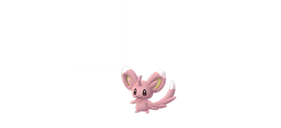 Cinccino shiny - Pokémon GO