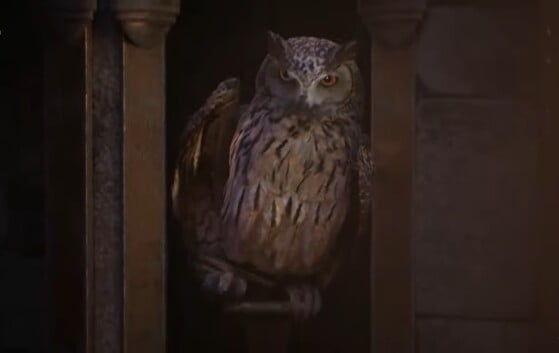 Hogwarts Legacy: Como encontrar a entrada da Câmara Secreta?