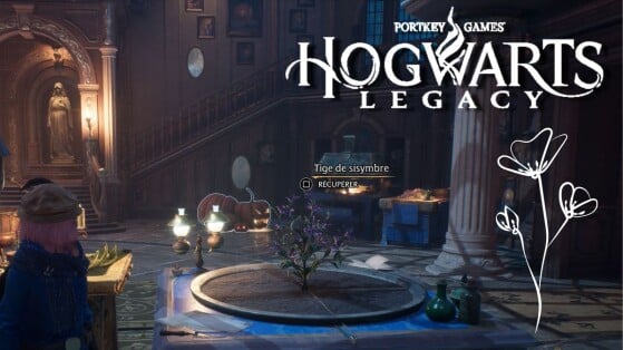 Descurainia Sophia Hogwarts Legacy: Onde achar a planta rara para fazer poções?