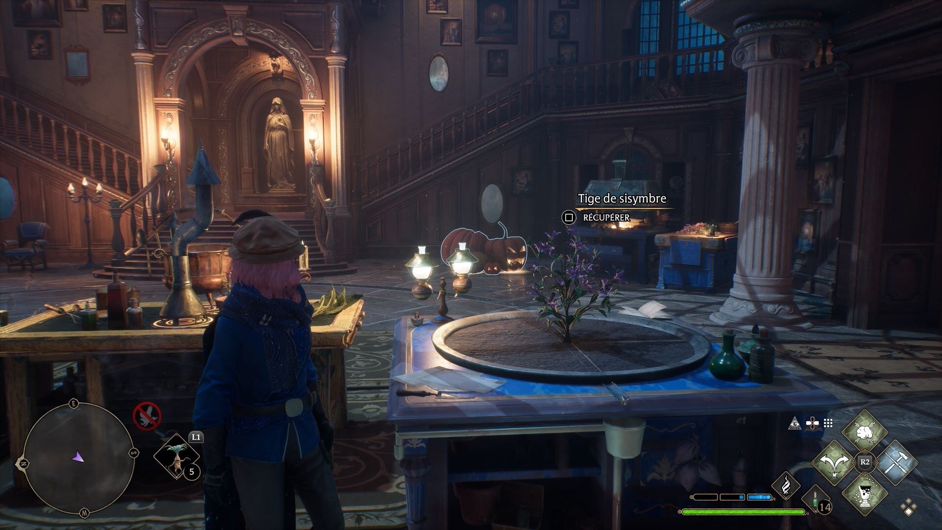 Descurainia Sophia Hogwarts Legacy: Onde achar a planta rara para fazer ...