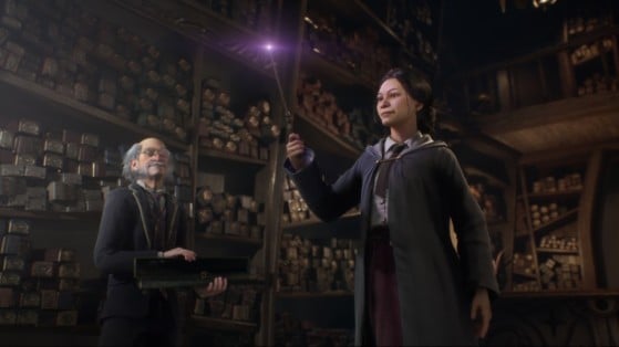 Imagem oficial de divulgação do jogo — Foto: Warner Bros. Entertainment Inc/Divulgação - Hogwarts Legacy