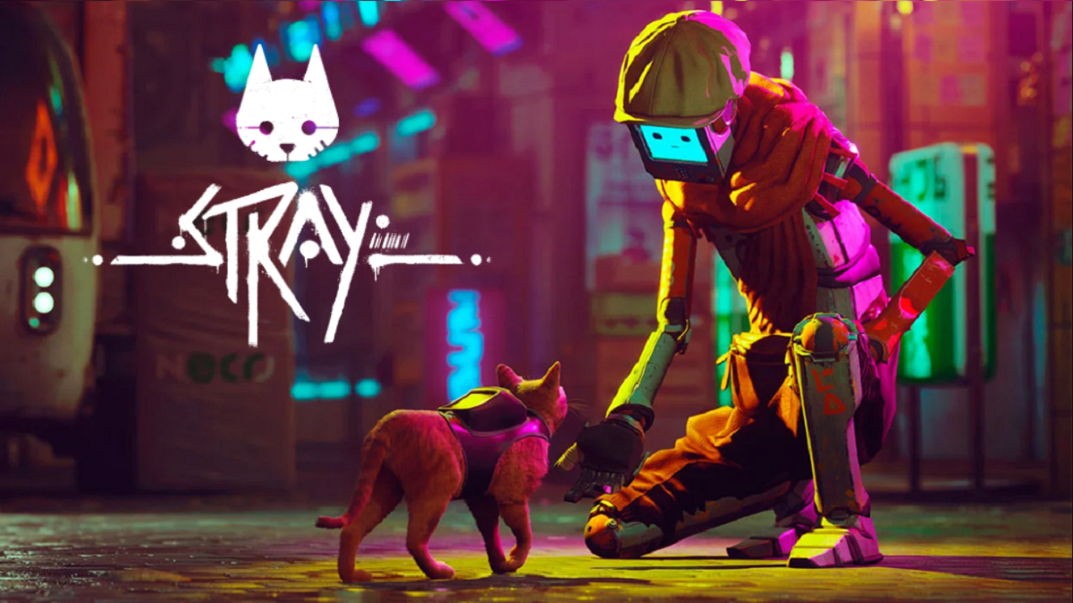 Campanha do jogo indie Stray, de gatinho, ajuda abrigos de animais - Drops  de Jogos
