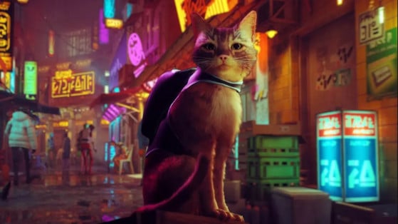 Stray: Ter gato fofo como protagonista esconde mediocridade do jogo em gameplay