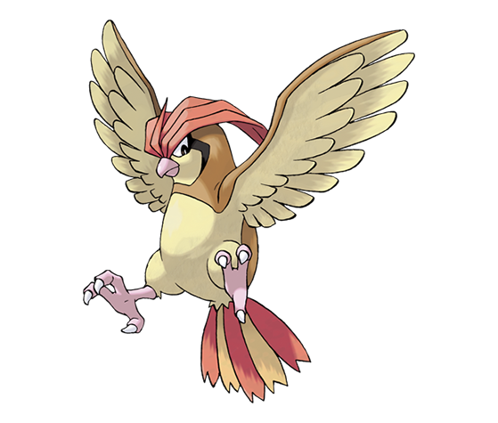 Pidgeotto —  Imagem: The Pokémon Company/Divulgação - Pokémon Scarlet e Violet