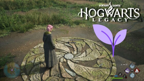 Malva Doce Hogwarts Legacy: Como achar a planta para as Provas de Merlim?
